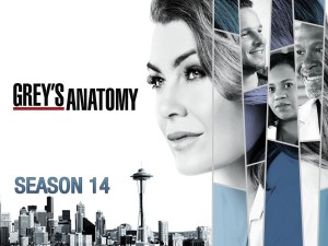 Phim Ca Phẫu Thuật Của Grey (Phần 14) - Grey's Anatomy (Season 14) (2017)