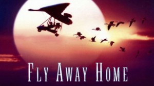 Phim CHẮP CÁNH BAY XA  - Fly Away Home (1996)